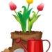 beautiful flowers in the garden on white background