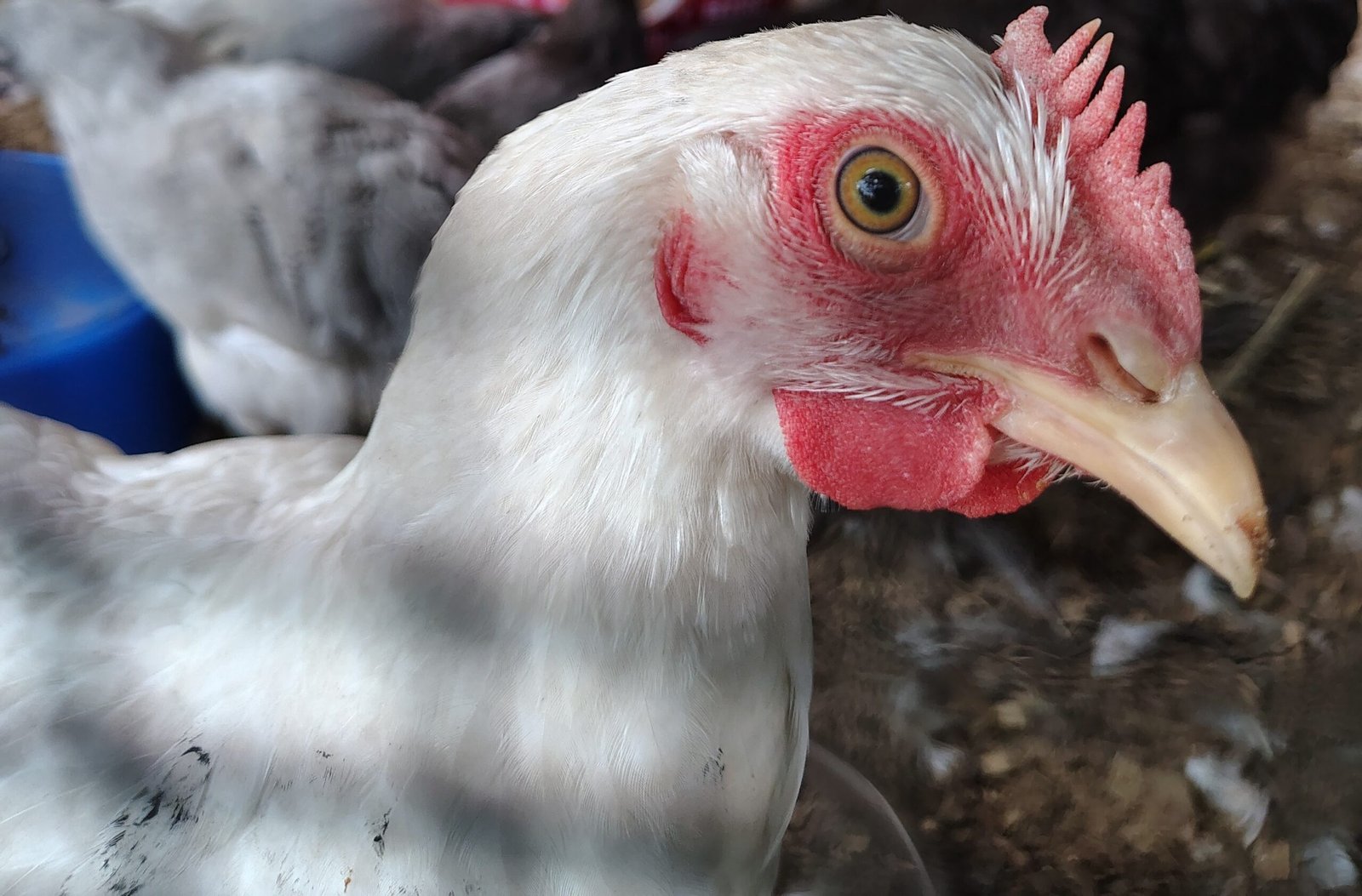 img 20250702 151757263 hdr~2