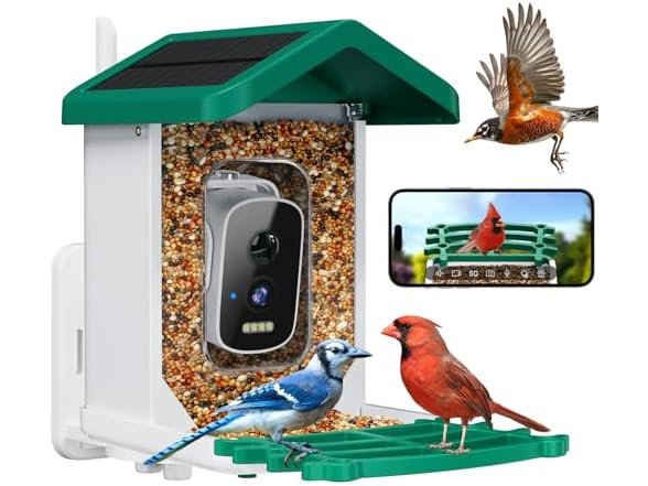 c425a61a 457d 45d4 afcc 7c736254be4b